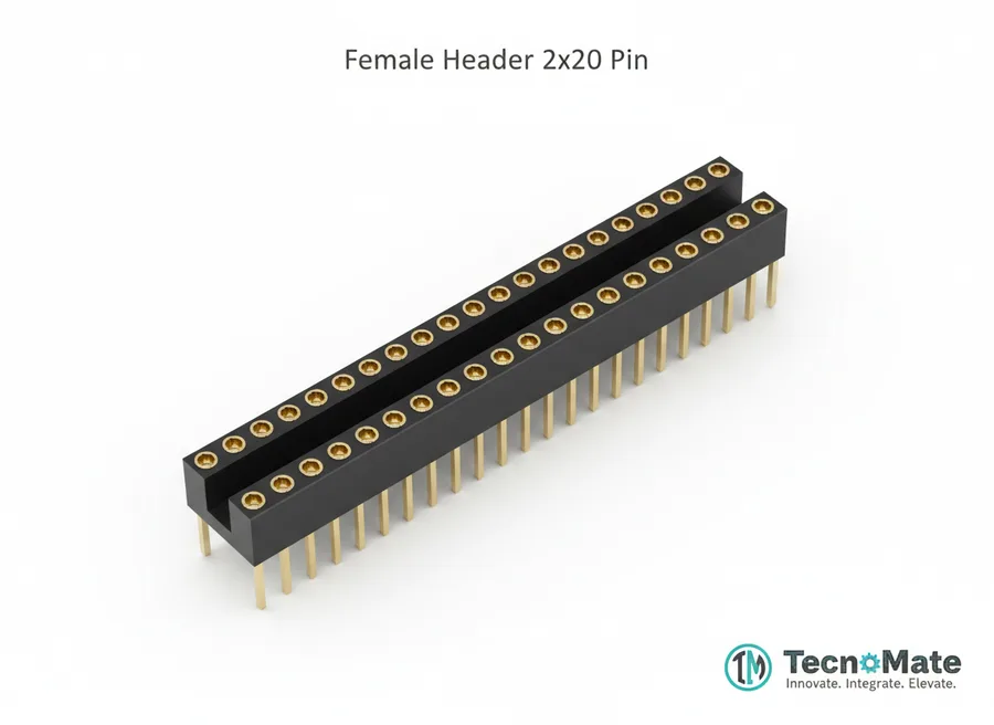 Header Strip Female 2x20 Pin 2.54MM Pitch.54MM Pitch